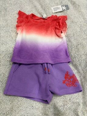 Splendid Girls Gradient Coral to Purple Ruffle Sleeve Top & Lavender Shorts Set
